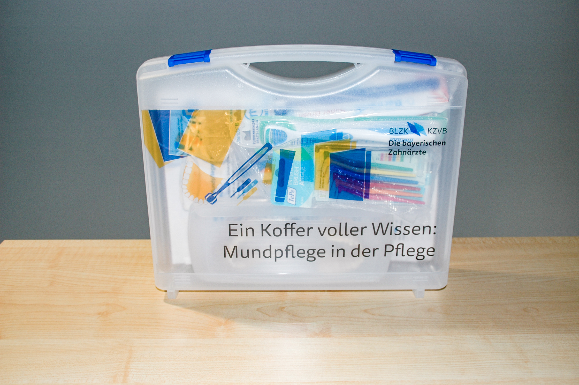 Ein Koffer voller Wissen: Mundpflege in der Pflege, Bild 3